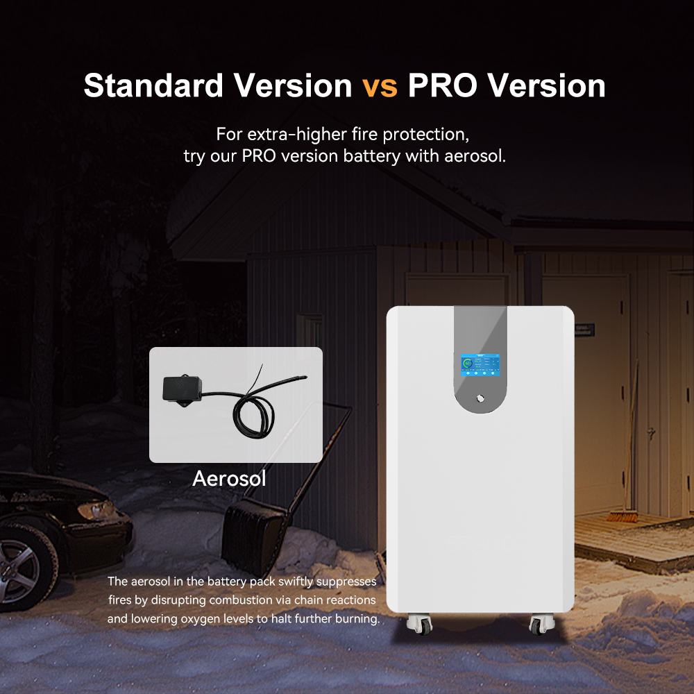 ESS 50 kWh Battery LiFePO4 48V - Lifepo4 Battery Pack reseña y precio