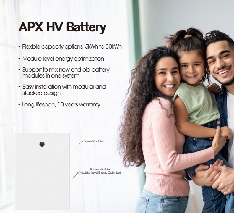 Home ESS LiFePO4 Solar Powered - Lifepo4 Battery Pack reseña y precio