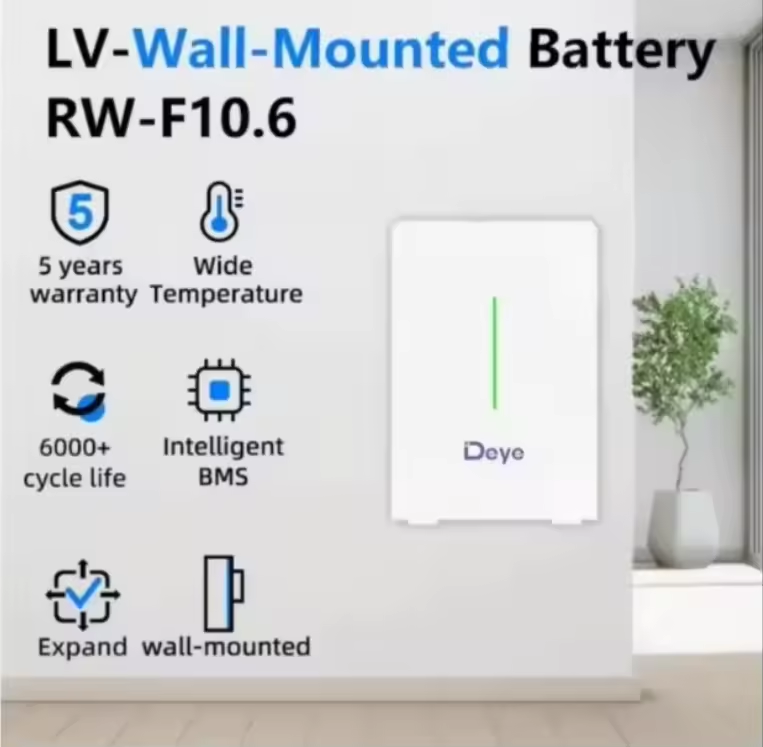 Deye 51.2v 48v 200ah 10.55kwh  - Lifepo4 Battery Pack reseña y precio