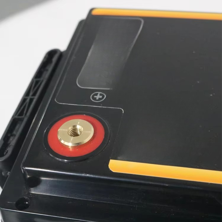 Lifepo4 12 V 100Ah 200Ah 300Ah - Lifepo4 Battery Pack reseña y precio