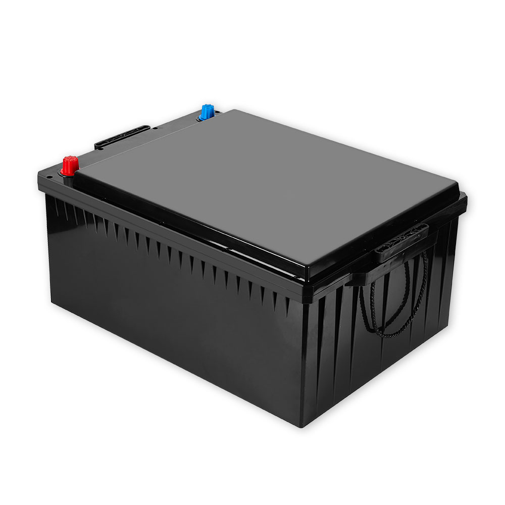 24V prismatic lithium-ion batt - Lifepo4 Battery Pack reseña y precio
